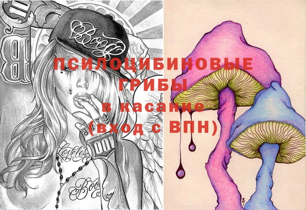 бошки Костерёво